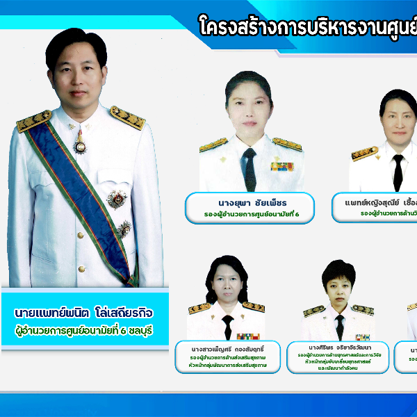 โครงสร้างองค์กร